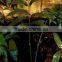 Easy to breed foliage plant Archangiopteris hokouensis