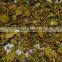 100% Natural Baikal Skullcap Root Tea Bag Cut F/C Fine Cut,T/B,Medium Cut, Coause Cut C/C,Extraction Cut EX