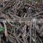 Acacia / Rubber /Pine Firewood/ Mixed Firewood