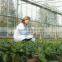 40% plant source Amino Acid Powder Fertilizer for reasonable price