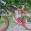 2 Stroke Bicycle Motor 80cc