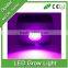 High quality Spider COB led grow light with CE&RoHS Approved led plant grow light