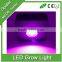 Best sales in USA Europe led garden light CE ROHS certificate hydroponic light led grow light