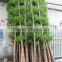 SJ030936 bamboo ornamental plants artificial plant artificial bamboo products