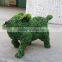 artificial boxwood fish/artificial boxwood topiary animals