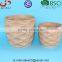 Wave patterned Ceramic Succulent Pot Matte flower pot