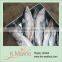 2015 Tuna Factory Supply Raw Whole Tuna