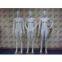 FRP Full-Body Standing Polished Female Mannequin Standing