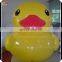 toys animal inflatable Rubber Duck swim duck for sale