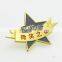 Company logo customized star pin badge