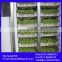 Tine saving fodder vegetable seed germination/germination chamber