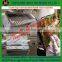 Good performance and professional pig roasting equipment/lamb roaster on sale