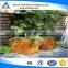 customized weathering steel / corten steel planters for garden