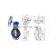 ASME Cast Iron Stainless Steel Stem Adjusting Butterfly Valve with Price