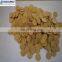 sintered bronze filter disc,sintered porous disc filter,sinter filter