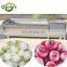 Stainless Steel Onion Skin Remove Peeling Machine/Onion Cleaning Machine