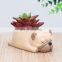 Cartoon sleeping pet resin crafts office desktop flower pot