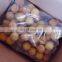 Wholesale roasted octopus ball frozen takoyaki