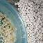 Pre-Gelatinized Tapioca Mix for Filled Boba-BXF-003