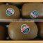 non toxic frozen freeze food sticker label OEM manufacturer