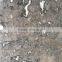 Grey Wolf Chinese Marble Floor Covering Tiles, Wall Tiles