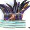 Fashion Carnival Costume Showgirl Feather Headdress