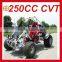 NEW EEC 250CC BUGGY WITH CVT(MC-462)