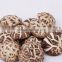Polish Wild Dried Straw Mushroom Volvaria Volvacea China