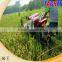High productivity Rice reaper machine /Rice harvester /Rice harvesting machine