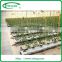 EU model low cost agricultural greenhouse for sale