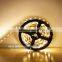 warm white 2 years warranty high quality Wholesale 50m/roll green 5050 led strip light with connector