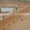 SKR machinery WPC PE/PVC wood plastic fence production line
