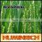 Huminrich Leonardite Water Soluble 75% Potassium Fulvic Acid Super Grow Fertilizer