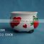 Ceramic flower pot, cute, flower planter, red, strawberry
