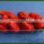 Plastic tray for food packaging