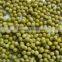 High qualityCanned green peas with best price for sale