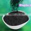 Activated carbon pharma