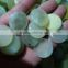 Jade stone for sale