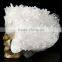 Western New design crystal Skull model for sale