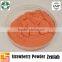 Natural Strawberry Flavour Powder