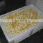Plastic Drying Trays For Paintballs And Soft Capsule Pharma use