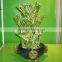 dragon tower shaped lucky bamboo air bonsai tree dracaena sanderiana indoor aquatic water plants nursery garden decoration
