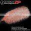CHINAZP No.1 Supplier in China Factory Exporting Wholesale from 10inch to 12inch Champagne Ostrich Feathers