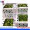 Plastic Fruit Packaging Box