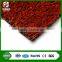 FIFA 2 Star Standard Thiolon Hockey Doorball Grass Artificial Turf for Football Field