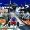 Sonic Sega Amusement Driving Simulator Racing Game/3D Amusement Games