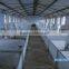 Pig quipment,automatic pig feeding system