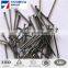 2.5" POLISH NAIL / COMMON NAIL / WIRE NAIL COST PRICE SELLING
