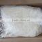 Supply Frozen Skinless Giant Squid Fillet