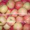 Red Gala Apple